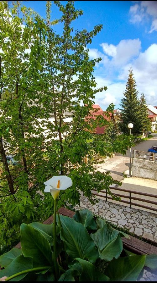 Apartments Sipcic Žabljak Eksteriør bilde